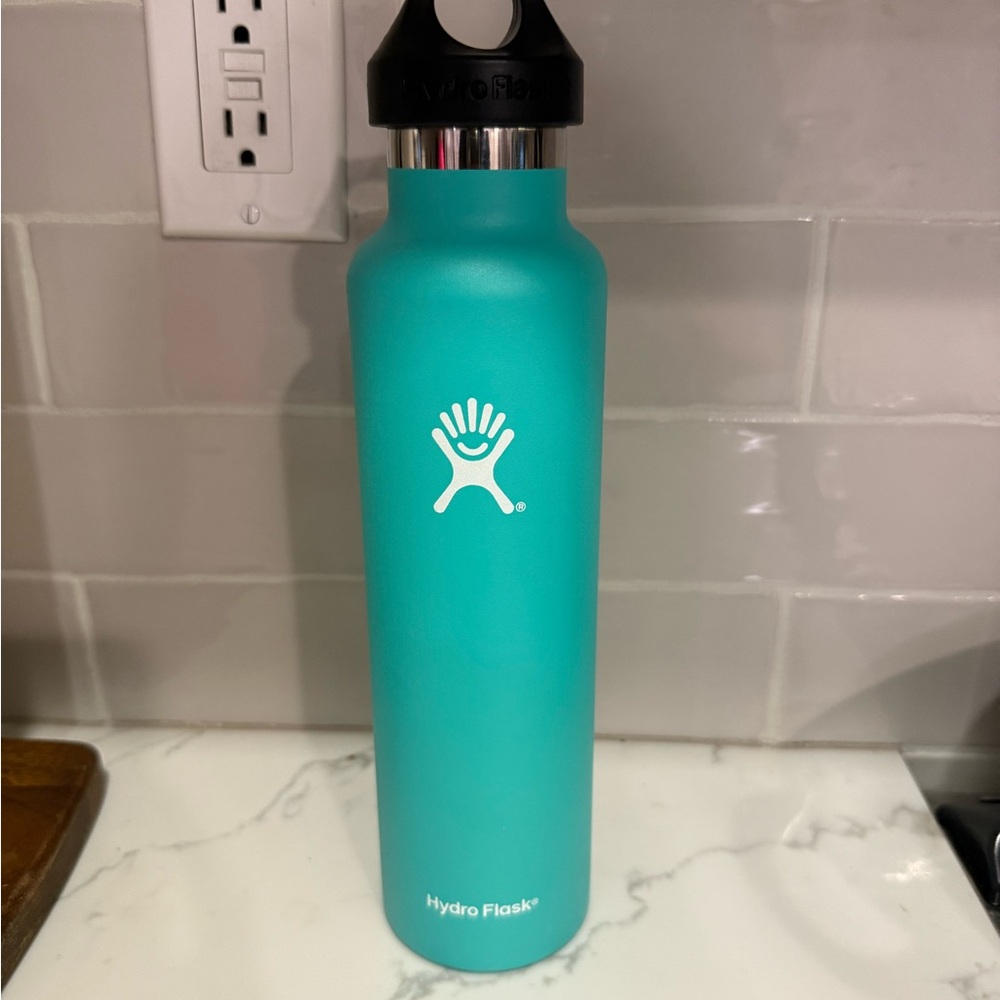 Hydro Flask Mint Bottle with Black Lid